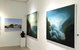 Gallery One - thumb 3
