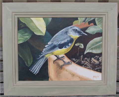 Frew Artworks - Whitsundays Accommodation 2