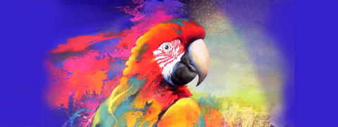 Tina Cooper Gallery - Whitsundays Accommodation 2