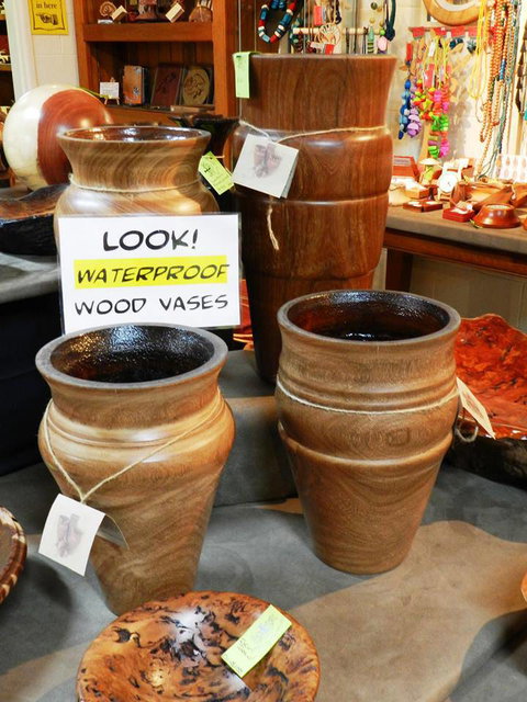 Montville Woods Gallery - Whitsundays Accommodation 1