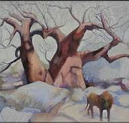 Bright Madge - Whitsundays Accommodation