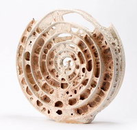 Noosa Regional Gallery - Whitsundays Accommodation