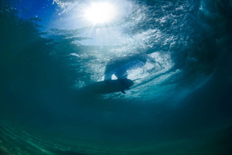 Ocean Art Gallery & Cafe - Whitsundays Accommodation 4