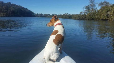 Australis Canoes & Kayaks - Whitsundays Accommodation 0