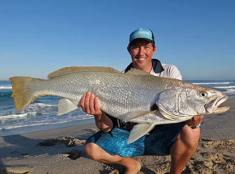 Perth Fishing Safaris - Whitsundays Accommodation 0