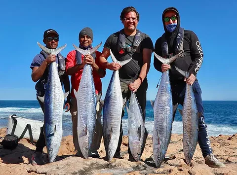 Perth Fishing Safaris - Whitsundays Accommodation 1