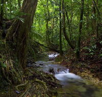 Trek North - Whitsundays Accommodation