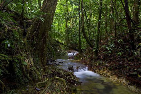 Trek North - Whitsundays Accommodation 0