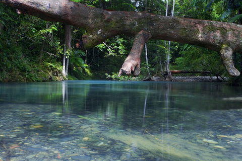 Trek North - Whitsundays Accommodation 1