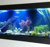 Aquariums in Cairns - Whitsundays Accommodation