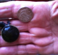 Hurleys Aquariums - Whitsundays Accommodation