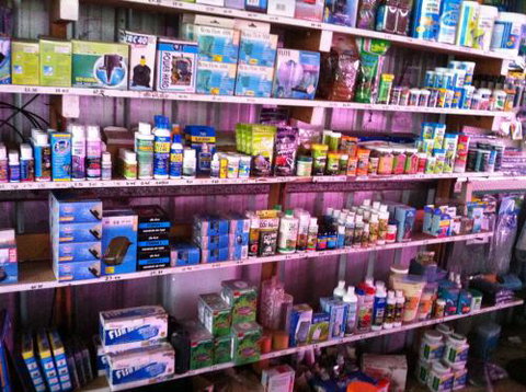 Hurley’s Aquariums - Whitsundays Accommodation 1