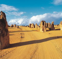 Pinnacles Desert Koalas and Sandboarding 4WD Day Tour from Perth - Whitsundays Accommodation