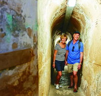 Rottnest Island Full-Day Trip With Guided Island Tour From Perth - Whitsundays Accommodation