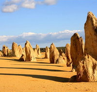 Pinnacles and Yanchep National Park Day Trip from Perth Including Lobster Shack Lunch and Sandboarding - Whitsundays Accommodation