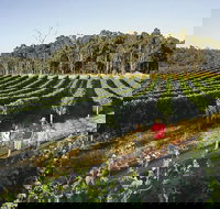 Margaret River Caves Wine and Cape Leeuwin Lighthouse Tour from Perth - Whitsundays Accommodation