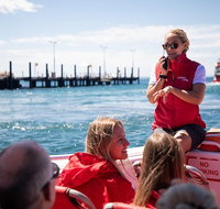 Rottnest Island Tour from Perth or Fremantle including Adventure Speed Boat Ride - Whitsundays Accommodation