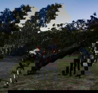 Stargazing Busselton with Mobile Observatory - Whitsundays Accommodation