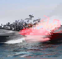 Dunsborough 30-Minute Jet Boat Ride - Whitsundays Accommodation