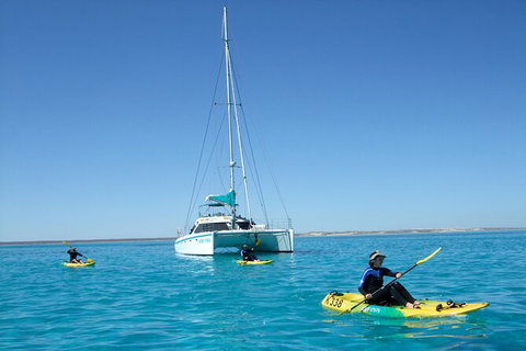 3 Night Ningaloo Reef Snorkel And Dive Getaway From Coral Bay - Whitsundays Accommodation 7