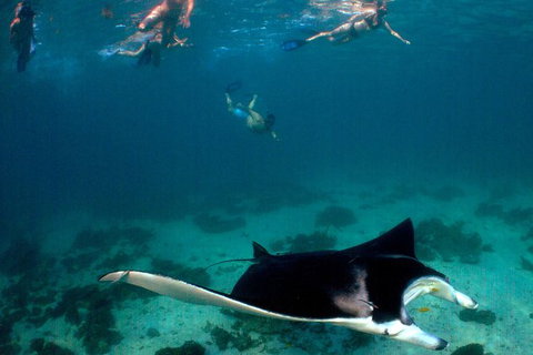 3 Night Ningaloo Reef Snorkel And Dive Getaway From Coral Bay - Whitsundays Accommodation 6