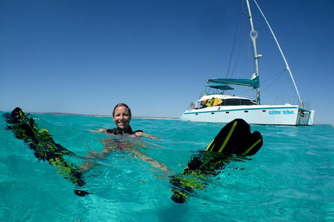 3 Night Ningaloo Reef Snorkel And Dive Getaway From Coral Bay - Whitsundays Accommodation 5