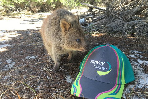 Rottnest Island Segway Tour: Fortress Adventure Tour - Whitsundays Accommodation 3