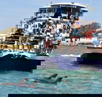 Mandurah Dolphin and Scenic Marine Cruise - Whitsundays Accommodation