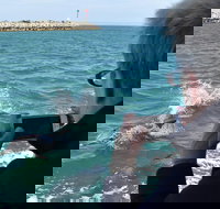 Mandurah Dolphin Island Adventure - Whitsundays Accommodation