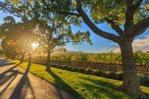 VIP Swan Valley Wine Tour - Premium Small Group Wine & Gourmet Experience - Whitsundays Accommodation 1