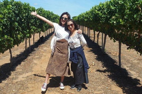 VIP Swan Valley Wine Tour - Premium Small Group Wine & Gourmet Experience - Whitsundays Accommodation 3