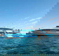 Rottnest Island Bike Snorkel  Ferry Package from Fremantle - Whitsundays Accommodation