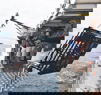 Rottnest Island Wild Seafood Package from Perth with Transfer - Whitsundays Accommodation