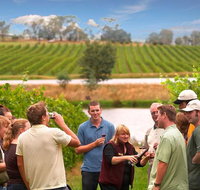 Yarra Valley Wine and Winery Tour from Melbourne - Whitsundays Accommodation