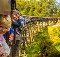Puffing Billy Steam Train  Healesville Wildlife Sanctuary Tour From Melbourne - Whitsundays Accommodation