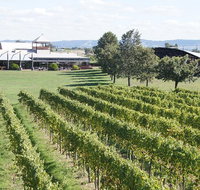 Puffing Billy Train and Yarra Valley Food and Wine Day Trip from Melbourne - Whitsundays Accommodation