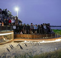 Small-Group Phillip Island Day Trip from Melbourne with Penguin Plus Viewing - Whitsundays Accommodation