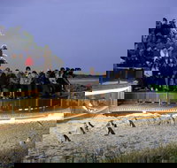 1 Day Private Phillip Island Tour VIP Charter up to 9 People - Whitsundays Accommodation