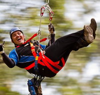 12 Apostles and Otway Fly Zipline Day Trip from Melbourne - Whitsundays Accommodation