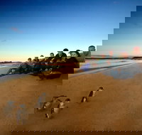 Phillip Island Ultimate Penguin Eco Tour or Skybox Experience - Whitsundays Accommodation