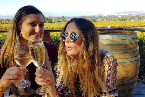 Alternative Yarra Valley Wine Tasting Tour Departing From Melbourne - Whitsundays Accommodation 5