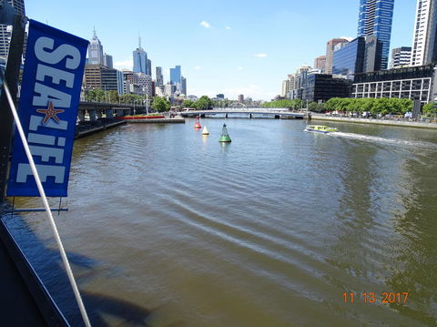 SEA LIFE Melbourne Aquarium Admission Ticket - Whitsundays Accommodation 7