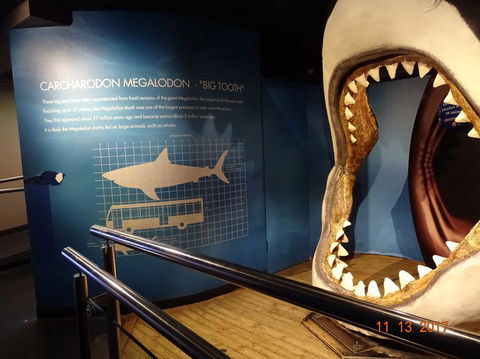 SEA LIFE Melbourne Aquarium Admission Ticket - Whitsundays Accommodation 10