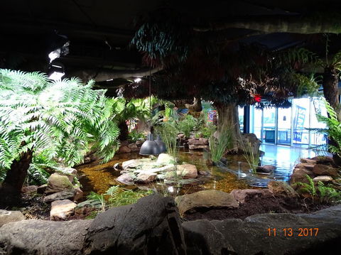 SEA LIFE Melbourne Aquarium Admission Ticket - Whitsundays Accommodation 2