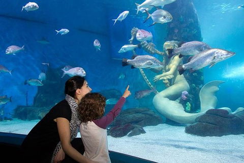 SEA LIFE Melbourne Aquarium Admission Ticket - Whitsundays Accommodation 14