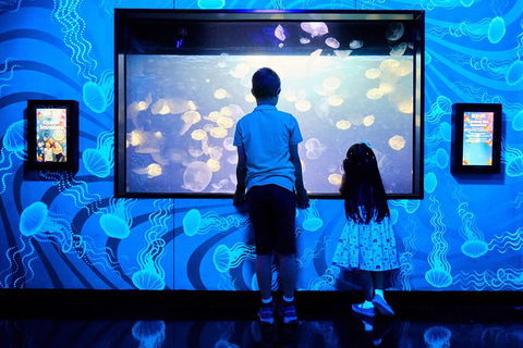 SEA LIFE Melbourne Aquarium Admission Ticket - Whitsundays Accommodation 18