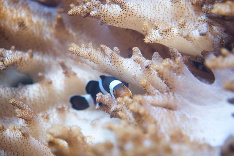 SEA LIFE Melbourne Aquarium Admission Ticket - Whitsundays Accommodation 16