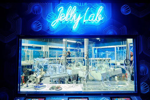 SEA LIFE Melbourne Aquarium Admission Ticket - Whitsundays Accommodation 24