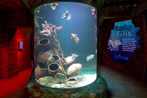 SEA LIFE Melbourne Aquarium Admission Ticket - Whitsundays Accommodation 23