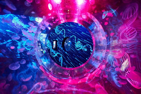 SEA LIFE Melbourne Aquarium Admission Ticket - Whitsundays Accommodation 26